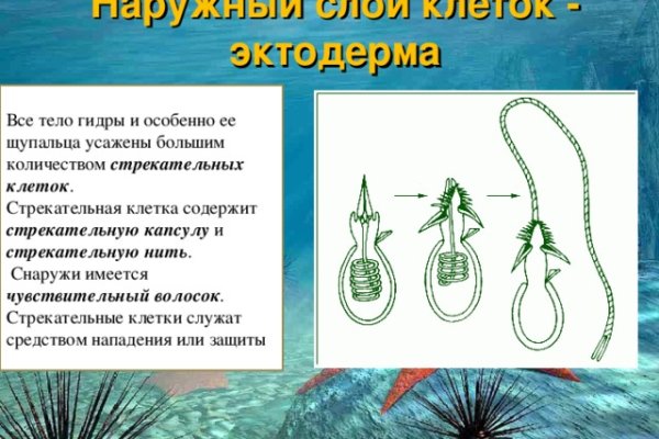 Кракен сс